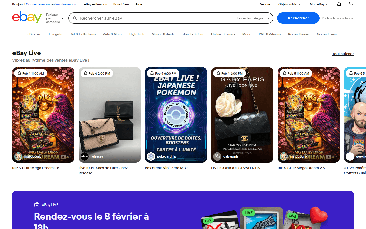 eBay Frankreich Startseite mit Suche und Kategorienavigation